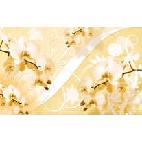 Fotobehang Bloemen, Orchidee | Geel | 152,5x104cm
