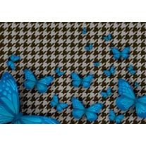 Fotobehang Papier Vlinder | Blauw, Grijs | 254x184cm
