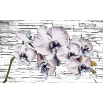 Fotobehang Papier Bloemen, Orchidee | Grijs | 254x184cm