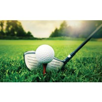 Fotobehang Papier Golf | Groen, Wit | 254x184cm