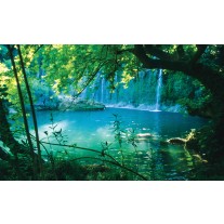 Fotobehang Papier Natuur | Groen, Blauw | 368x254cm