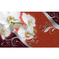 Fotobehang Papier Orchidee, Bloem | Wit | 368x254cm