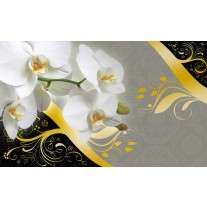 Fotobehang Bloemen, Orchidee | Grijs | 152,5x104cm