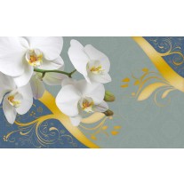 Fotobehang Bloemen, Orchidee | Wit | 152,5x104cm