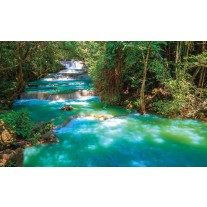 Fotobehang Papier Natuur | Groen, Blauw | 254x184cm