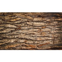 Fotobehang Hout | Bruin | 152,5x104cm