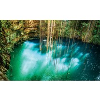 Fotobehang Papier Natuur | Groen, Blauw | 254x184cm