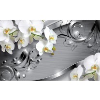 Fotobehang Papier Bloemen, Orchidee | Zilver | 254x184cm