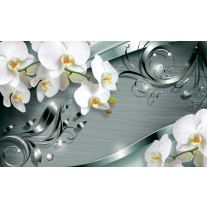 Fotobehang Papier Bloemen, Orchidee | Wit | 368x254cm
