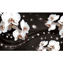 Fotobehang Papier Orchideeën, Bloemen | Wit | 368x254cm