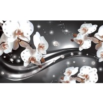 Fotobehang Papier Orchideeën, Bloemen | Zilver | 254x184cm