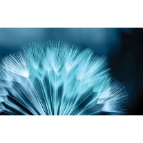 Fotobehang Papier Bloemen | Blauw | 254x184cm