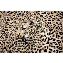 Fotobehang Papier Luipaard, Dieren | Bruin | 368x254cm