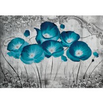 Fotobehang Bloemen, Klaproos | Turquoise | 152,5x104cm