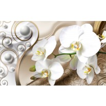 Fotobehang Papier Orchidee, Bloemen | Zilver, Goud | 368x254cm