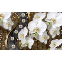 Fotobehang Papier Orchidee, Bloemen | Wit, Goud | 254x184cm