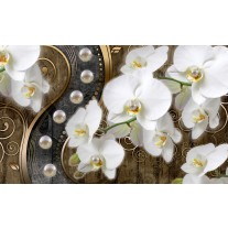 Fotobehang Orchidee, Bloemen | Wit, Goud | 104x70,5cm