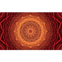 Fotobehang Abstract | Oranje, Rood | 152,5x104cm