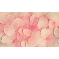 Fotobehang Papier Bloemen | Roze, Crème | 254x184cm