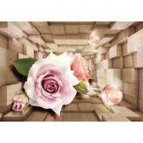 Fotobehang Papier Hout, 3D | Roze | 254x184cm