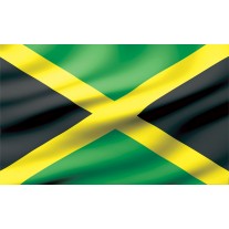 Fotobehang Vlag | Zwart, Groen | 152,5x104cm