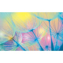 Fotobehang Papier Abstract | Geel, Blauw | 254x184cm