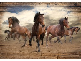 Fotobehang Vlies | Paarden | Grijs, Bruin | 368x254cm (bxh)