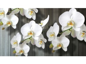 Fotobehang Orchideeën, Bloem | Wit | 416x254