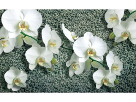 Fotobehang Orchideeën, Bloem | Wit | 208x146cm