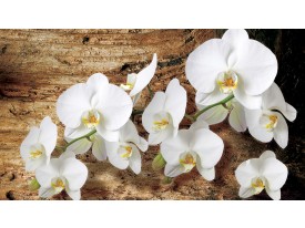 Fotobehang Orchideeën, Bloem | Bruin | 416x254