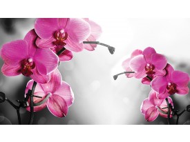 Fotobehang Papier Orchideeën, Bloem | Roze | 368x254cm