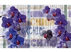 Fotobehang Papier Landelijk, Orchidee | Paars | 254x184cm
