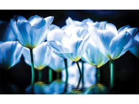 Fotobehang Papier Bloemen, Tulpen | Blauw | 254x184cm