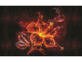 Fotobehang Papier Bloemen | Oranje | 254x184cm