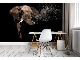 vliesbehang fotobehang  vlies | olifant 510x260cm