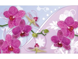 Fotobehang Papier Orchideeën, Bloemen | Roze | 254x184cm