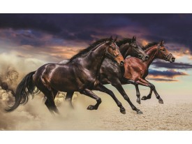 Fotobehang Papier Paarden | Bruin | 254x184cm