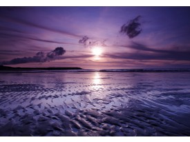 Fotobehang Vlies | Strand, Zee | Paars | 368x254cm (bxh)