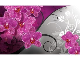 Fotobehang Vlies | Bloemen, Orchidee | Roze, Grijs | 368x254cm (bxh)
