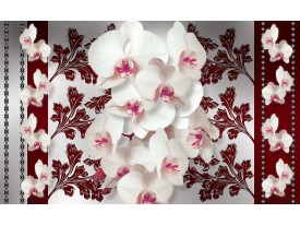 Fotobehang Bloemen, Orchideeën | Wit, Grijs | 416x254