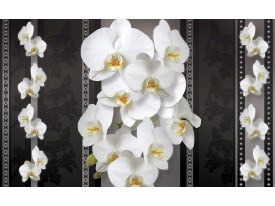Fotobehang Papier Bloemen, Orchideeën | Zwart, Wit | 254x184cm