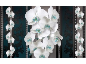 Fotobehang Bloemen, Orchideeën | Turquoise | 152,5x104cm