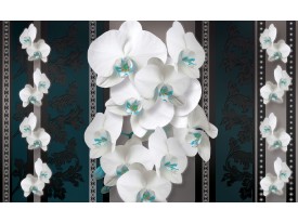 Fotobehang Vlies | Bloemen, Orchideeën | Turquoise | 368x254cm (bxh)