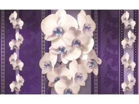 Fotobehang Bloemen, Orchideeën | Paars | 208x146cm