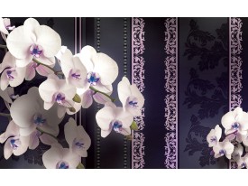 Fotobehang Bloemen, Orchideeën | Paars | 104x70,5cm