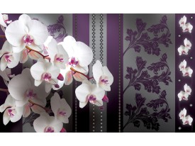 Fotobehang Papier Bloemen, Orchideeën | Paars | 368x254cm