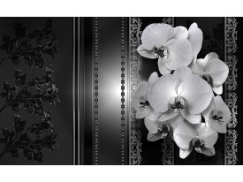 Fotobehang Vlies | Bloemen, Orchidee | Zwart | 368x254cm (bxh)