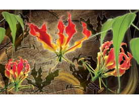 Fotobehang Bloemen | Rood, Groen | 104x70,5cm