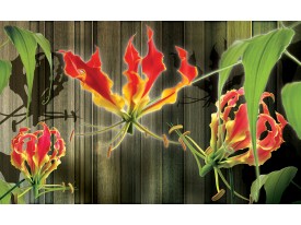 Fotobehang Bloemen | Groen, Rood | 104x70,5cm