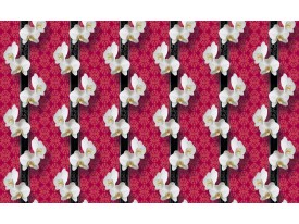 Fotobehang Bloemen, Orchidee | Wit | 208x146cm